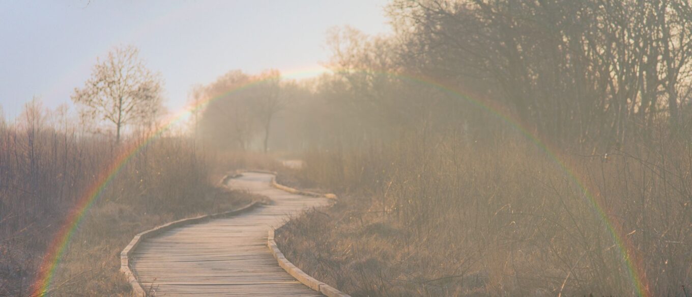 This is a long path that winds into the distance. It is surrounded by trees and a rainbow arches over the path.