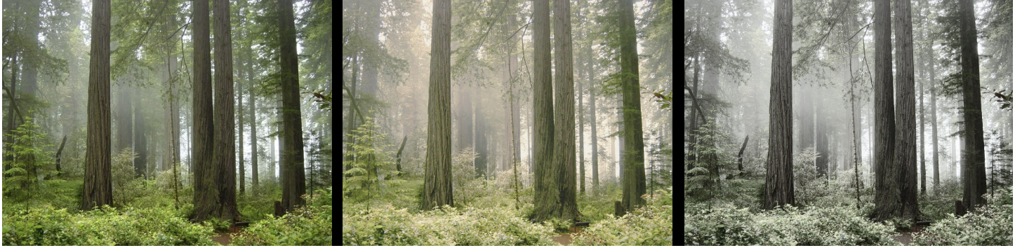 triptych of trees in three color schemes